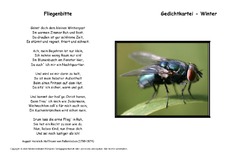 Fliegenbitte-Fallersleben.pdf